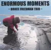 Bruce Freedman - Enormous Moments:Bruce Freedman Trio